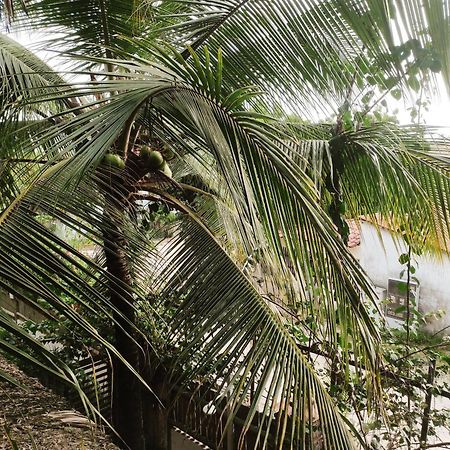 Pousada Tropical Brasil Jeri Jijoca de Jericoacoara Εξωτερικό φωτογραφία